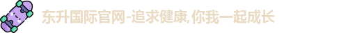 东升国际